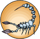 Bug Clipart