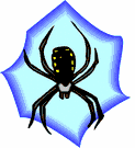 Bug Clipart