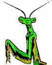 Bug Clipart