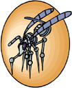 Bug Clipart