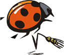 Bug Clipart