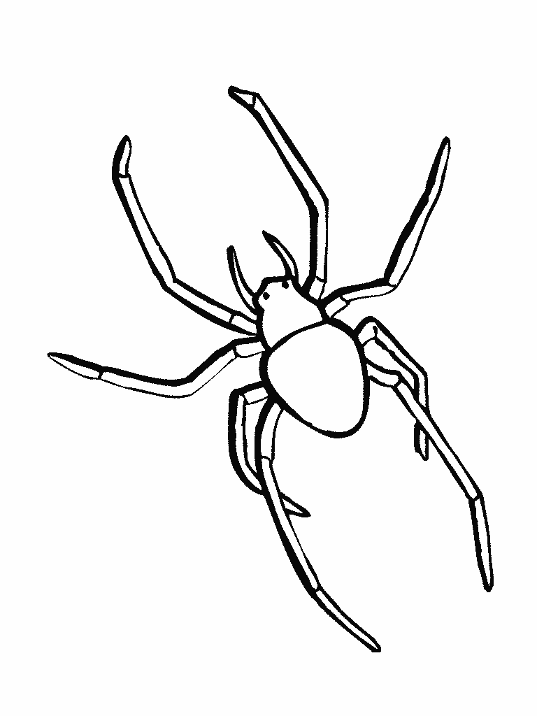 Bug Coloring Page