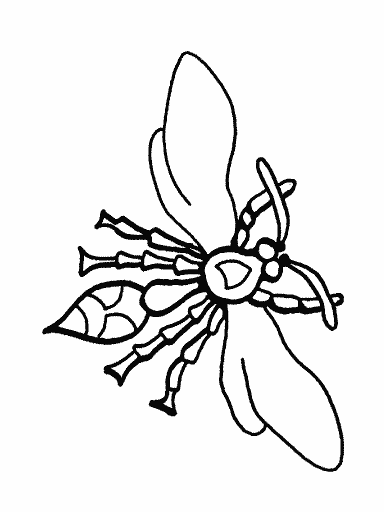 Bug Coloring Page