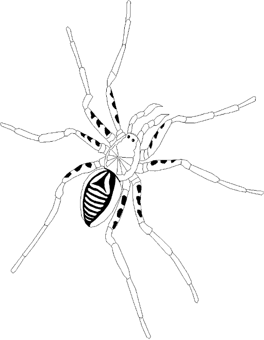 Bug Coloring Page