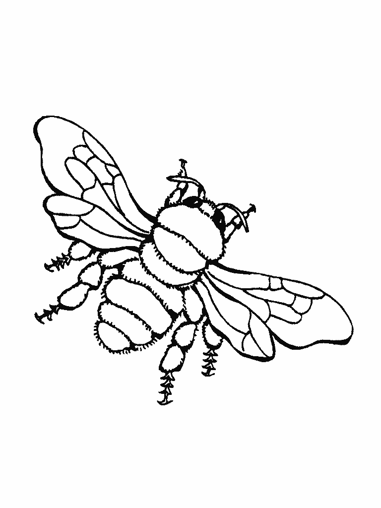 Bug Coloring Page