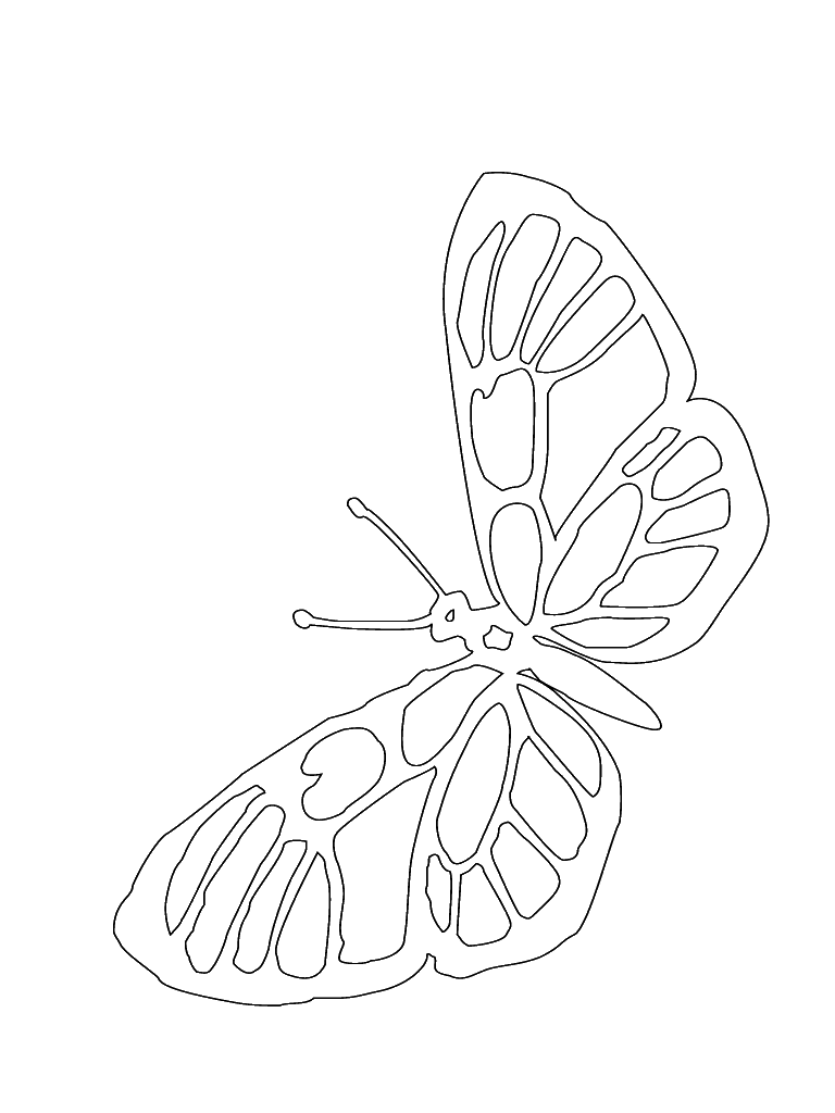 Bug Coloring Page