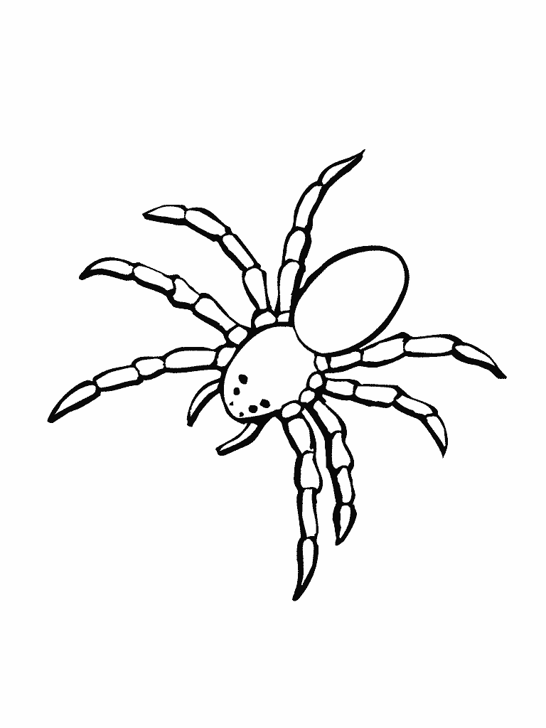 Bug Coloring Page