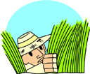 Safari Pictures and Clipart