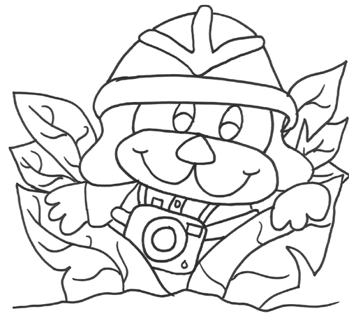 Safari Pictures Coloring Page