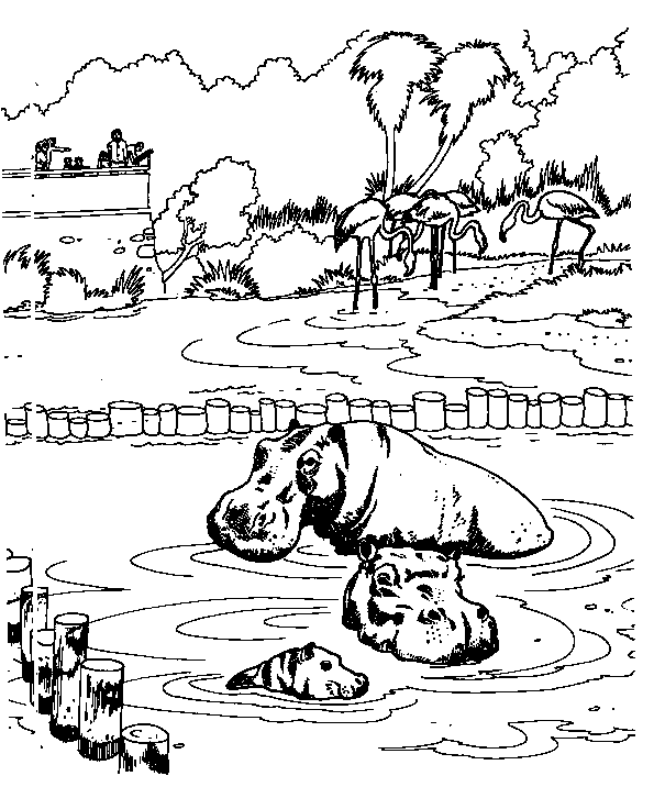 Safari Pictures Coloring Page