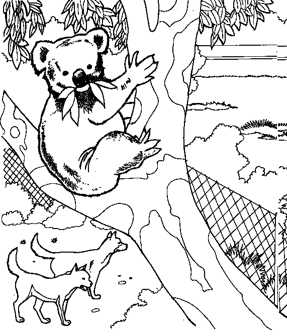 Safari Pictures Coloring Page