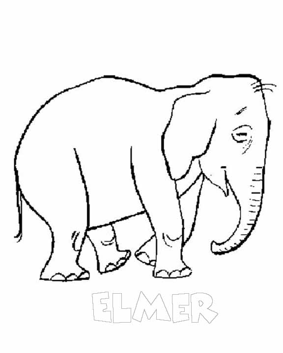 Safari Pictures Coloring Page