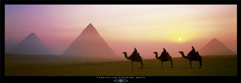 Safari Pictures Poster