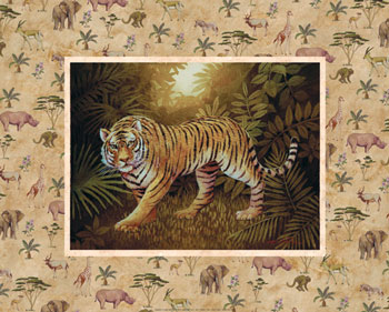 Safari Pictures Poster