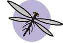 Bug Clipart