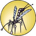 Bug Clipart