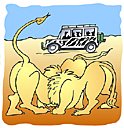 Safari Pictures and Clipart